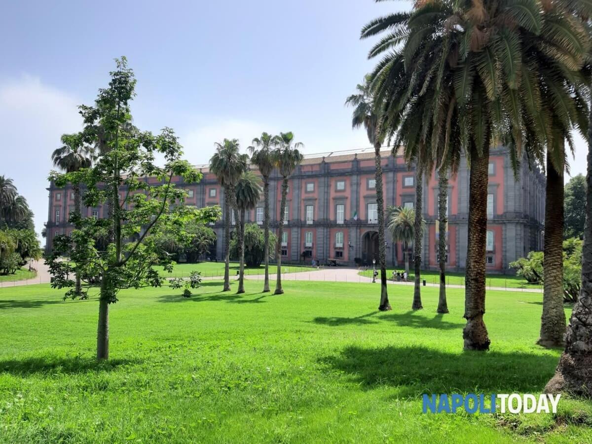 La Casita Nel Bosco Lejlighed Napoli Eksteriør billede